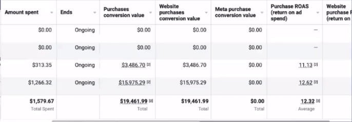 Table showing budget data with columns for amount spent, ends, purchases count, website purchase value, meta purchase value, purchase ROAS, and website purchase volume